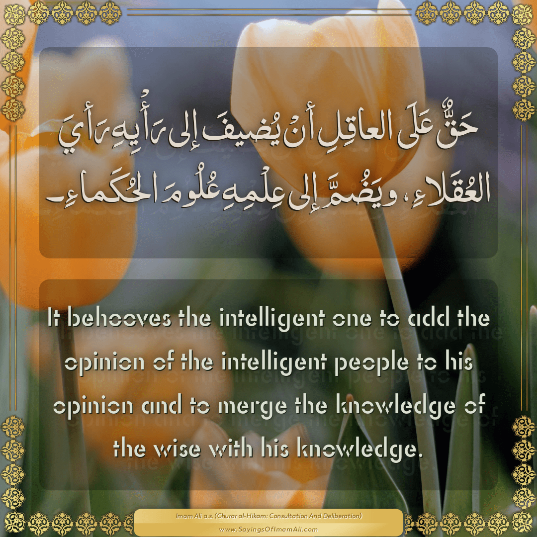It behooves the intelligent one to add the opinion of the intelligent...